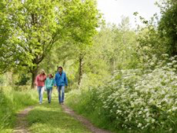 Wandeltip van de dag Wandeltip van de dag