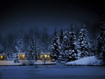 Winter Wonderland Winter Wonderland